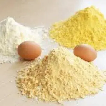 Egg Albumen Powder